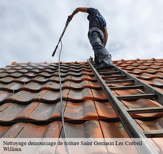 Nettoyage demoussage de toiture  saint-germain-les-corbeil-91250 William