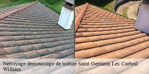 Nettoyage demoussage de toiture  saint-germain-les-corbeil-91250 William