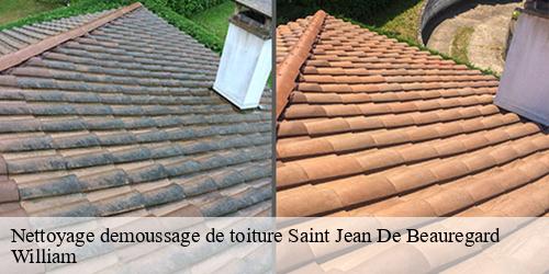 Nettoyage demoussage de toiture  saint-jean-de-beauregard-91940 William