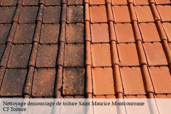 Nettoyage demoussage de toiture saint-maurice-montcouronne-91530 CJ Toiture