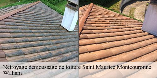 Nettoyage demoussage de toiture  saint-maurice-montcouronne-91530 William