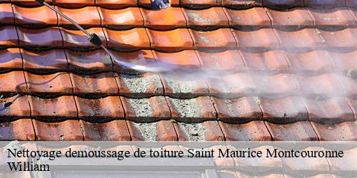 Nettoyage demoussage de toiture  saint-maurice-montcouronne-91530 William