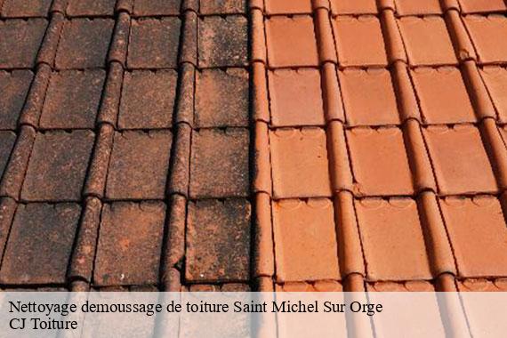 Nettoyage demoussage de toiture  saint-michel-sur-orge-91240 CJ Toiture 