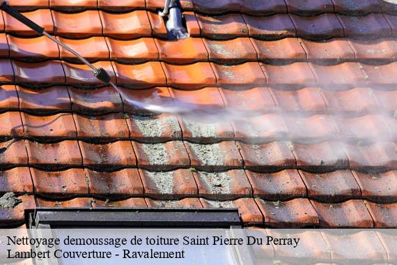 Nettoyage demoussage de toiture  saint-pierre-du-perray-91280 Lambert Couverture - Ravalement