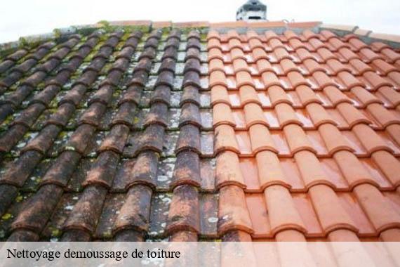 Nettoyage demoussage de toiture  saint-pierre-du-perray-91280 Lambert Couverture - Ravalement