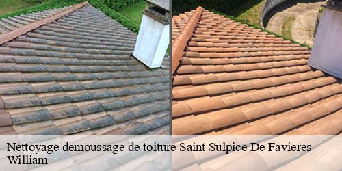 Nettoyage demoussage de toiture  saint-sulpice-de-favieres-91910 William