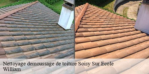 Nettoyage demoussage de toiture  soisy-sur-ecole-91840 William