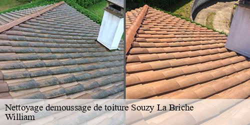 Nettoyage demoussage de toiture  souzy-la-briche-91580 William