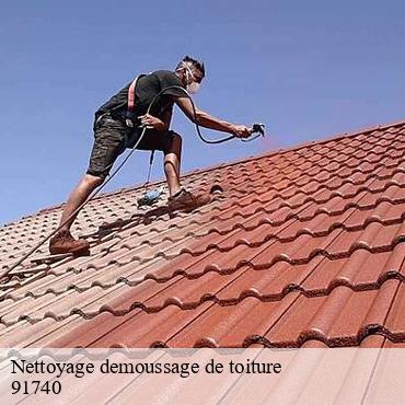 Nettoyage demoussage de toiture  congerville-thionville-91740 CJ Toiture 