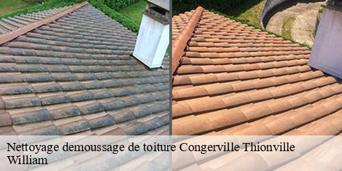 Nettoyage demoussage de toiture  congerville-thionville-91740 William