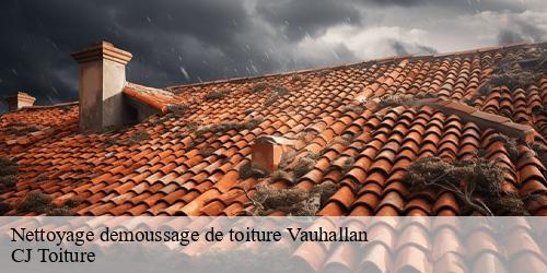 Nettoyage demoussage de toiture  vauhallan-91430 CJ Toiture 