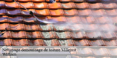 Nettoyage demoussage de toiture  villejust-91140 William