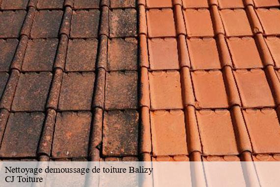 Nettoyage demoussage de toiture balizy-91160 CJ Toiture