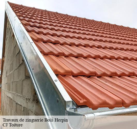 Travaux de zinguerie  bois-herpin-91150 CJ Toiture 