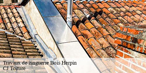 Travaux de zinguerie  bois-herpin-91150 CJ Toiture 