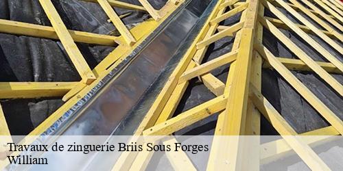 Travaux de zinguerie  briis-sous-forges-91640 William