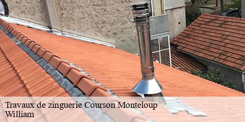 Travaux de zinguerie  courson-monteloup-91680 William