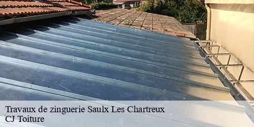 Travaux de zinguerie  saulx-les-chartreux-91160 CJ Toiture 