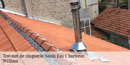 Travaux de zinguerie  saulx-les-chartreux-91160 William