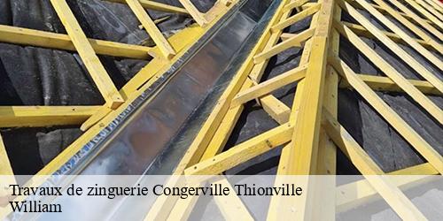 Travaux de zinguerie  congerville-thionville-91740 William