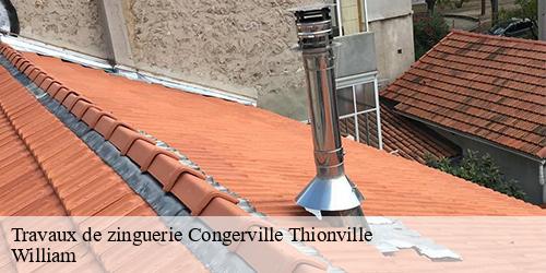 Travaux de zinguerie  congerville-thionville-91740 William